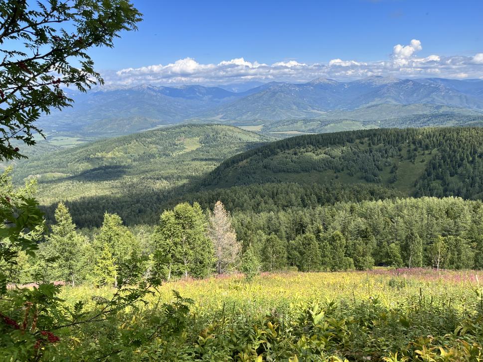 Príroda tu miestami pripomína tú našu. Západný Altaj, Kazachstan.