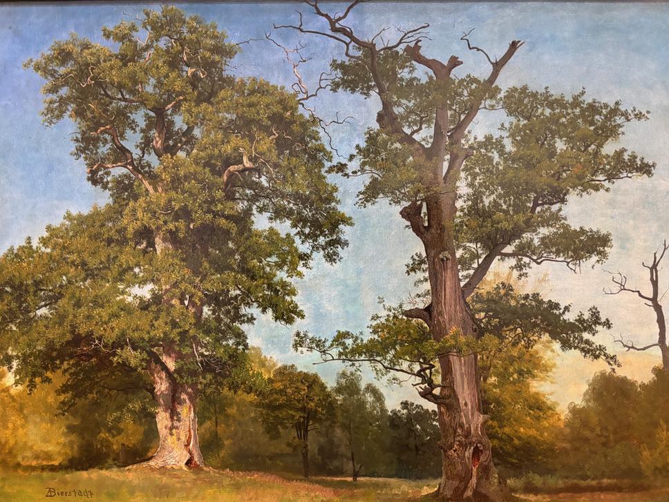 Albert Bierstadt, Pioneers of the Woods (Priekopníci lesov), High Museum of Art v Atlante