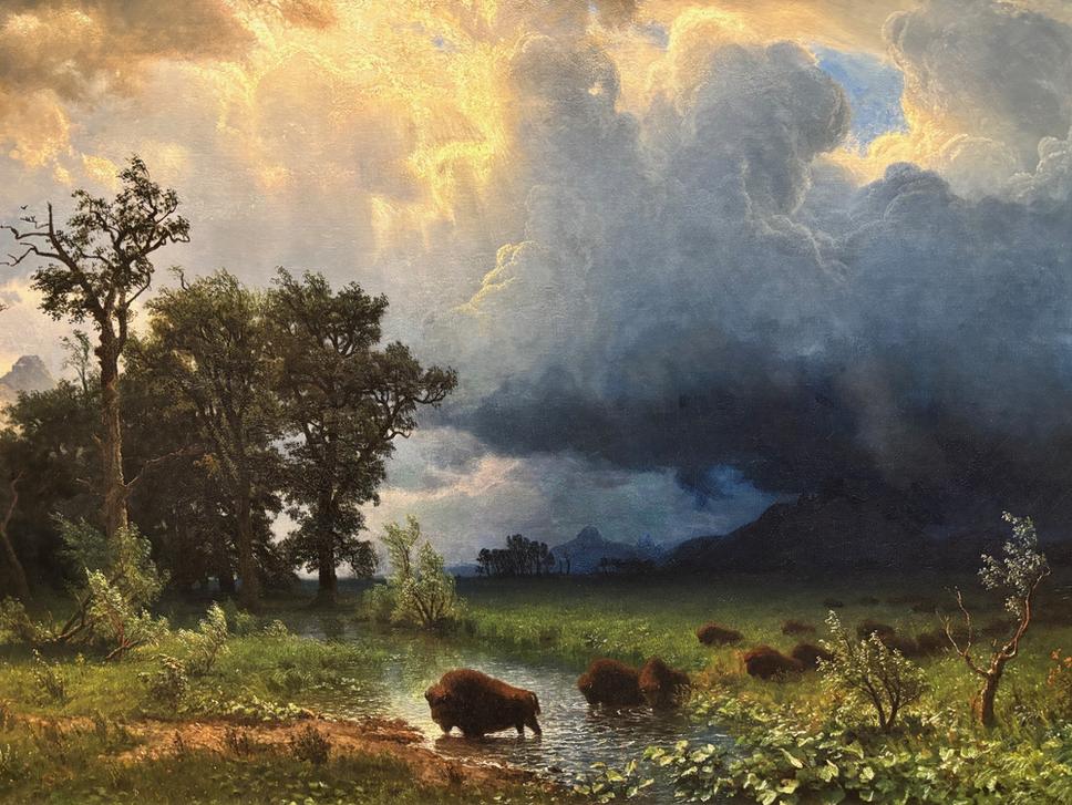 Albert Bierstadt, Buffalo trail (Bizoní chodník), National Art Gallery, Washington.