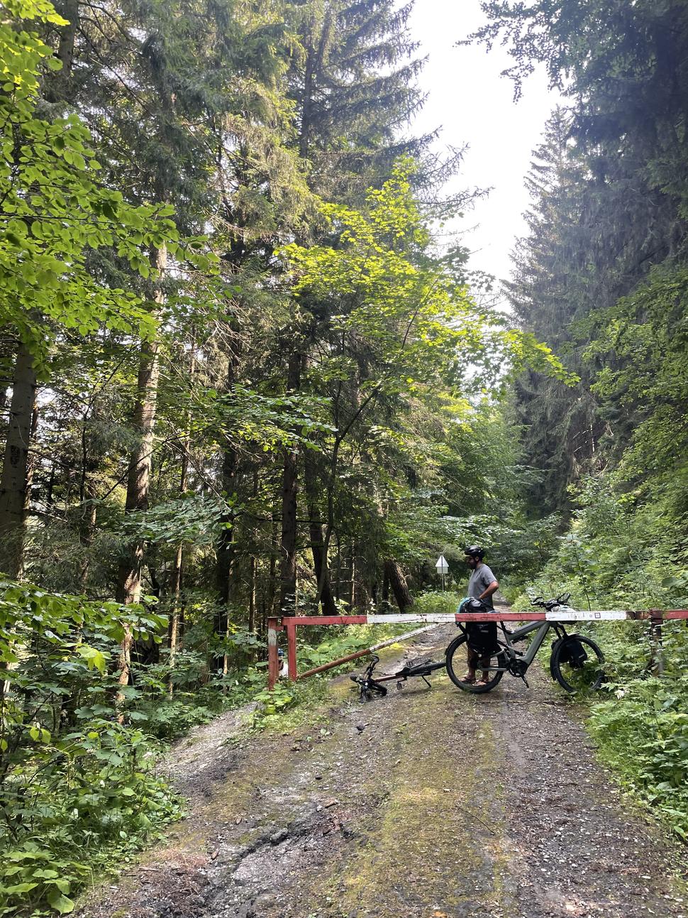 Pri každej prestávke Oski využil šancu a kosil lesné jahody.