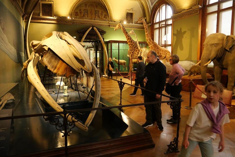 NHM Wien