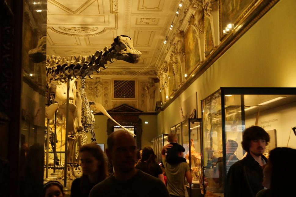 NHM Wien