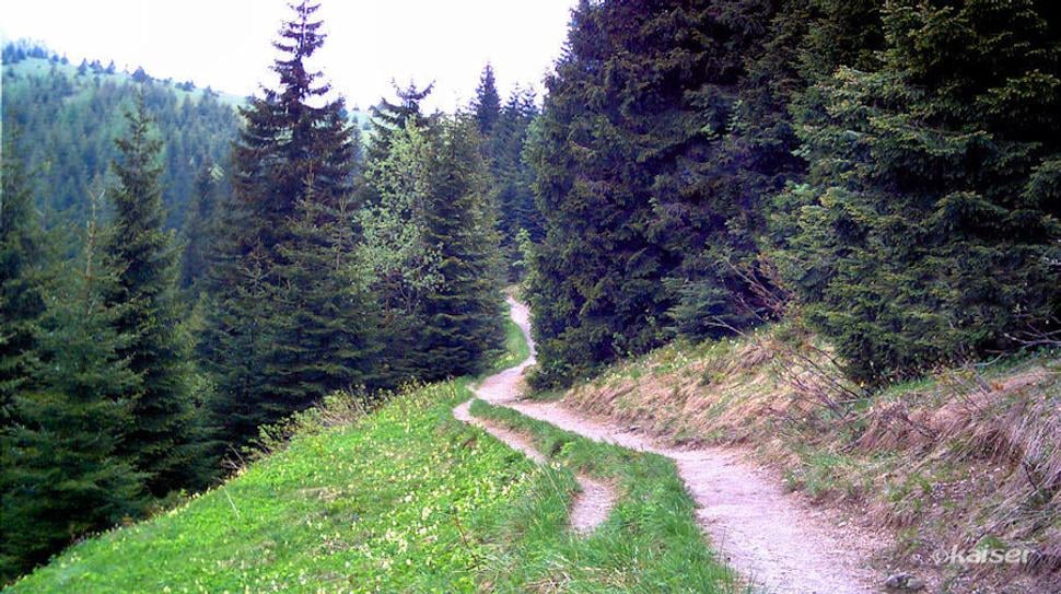 Turistický chodník nad roklinou