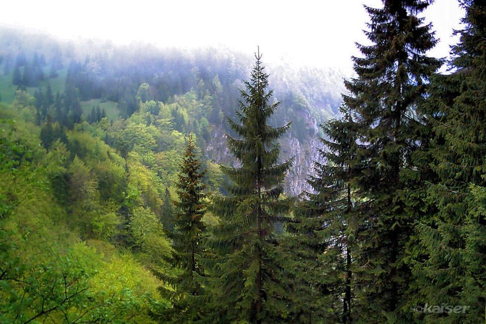 Výhľady zo sedla Medzirozsutce