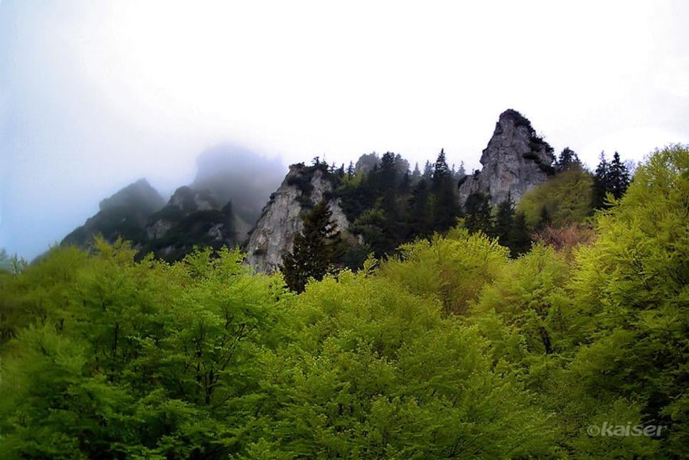 Pohľad na Rozsutce