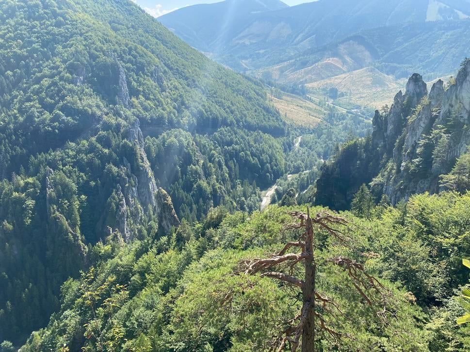 Hotovo