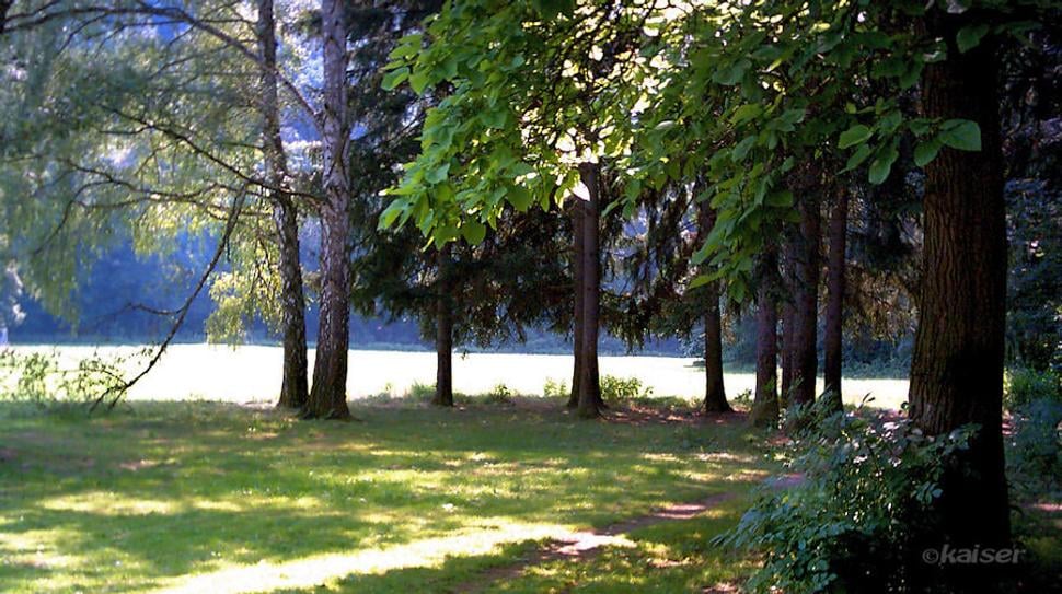 Okolie kaštieľa skrášľuje anglický park
