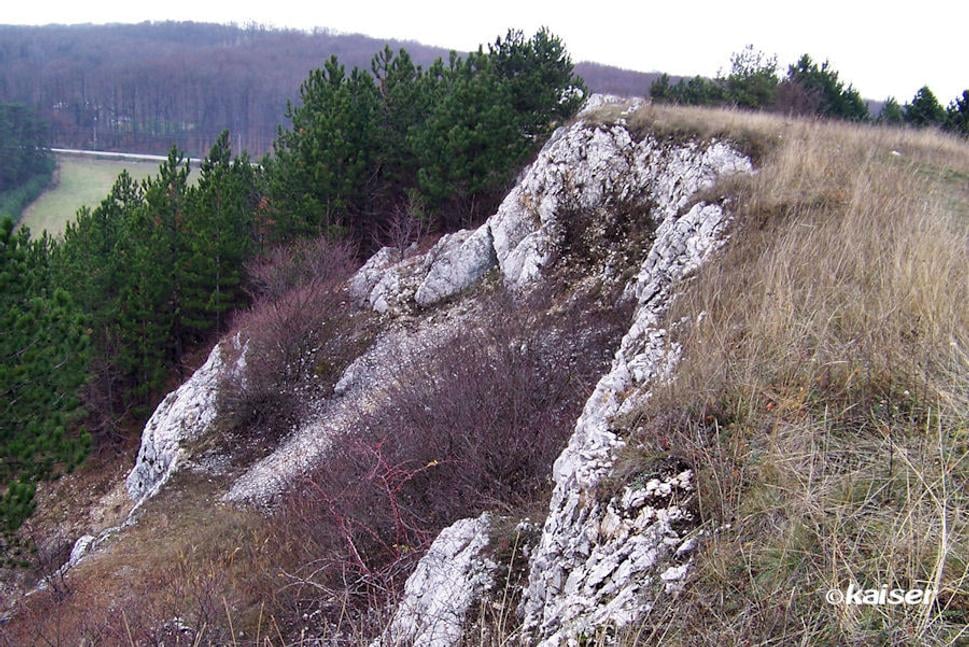K prírodným krásam Skýcova patrí aj Vápenný vrch