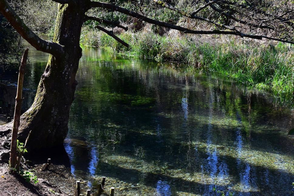 Loddon