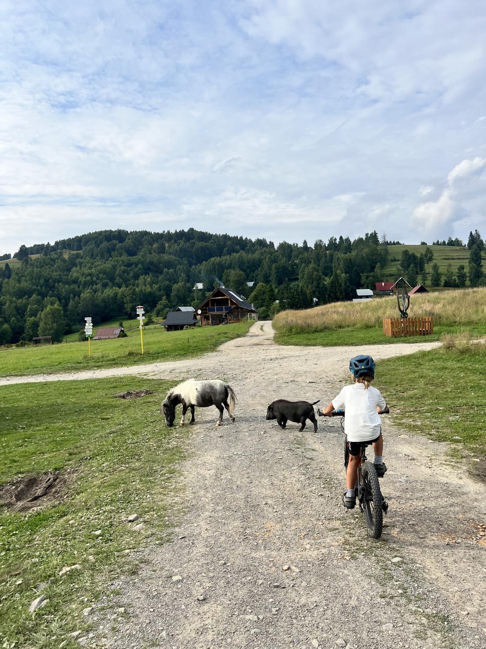 Sedlo Chlipavica a kratšia zastávka na gazdovskom dvore