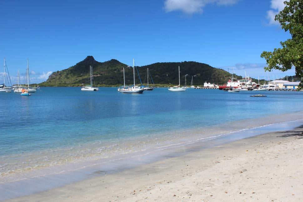 Tyrell bay