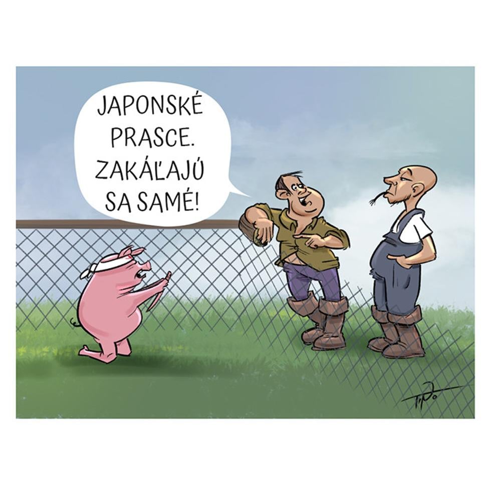 Obrázok blogu
