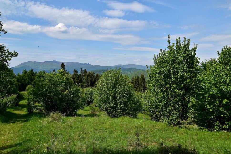 Obrázok blogu