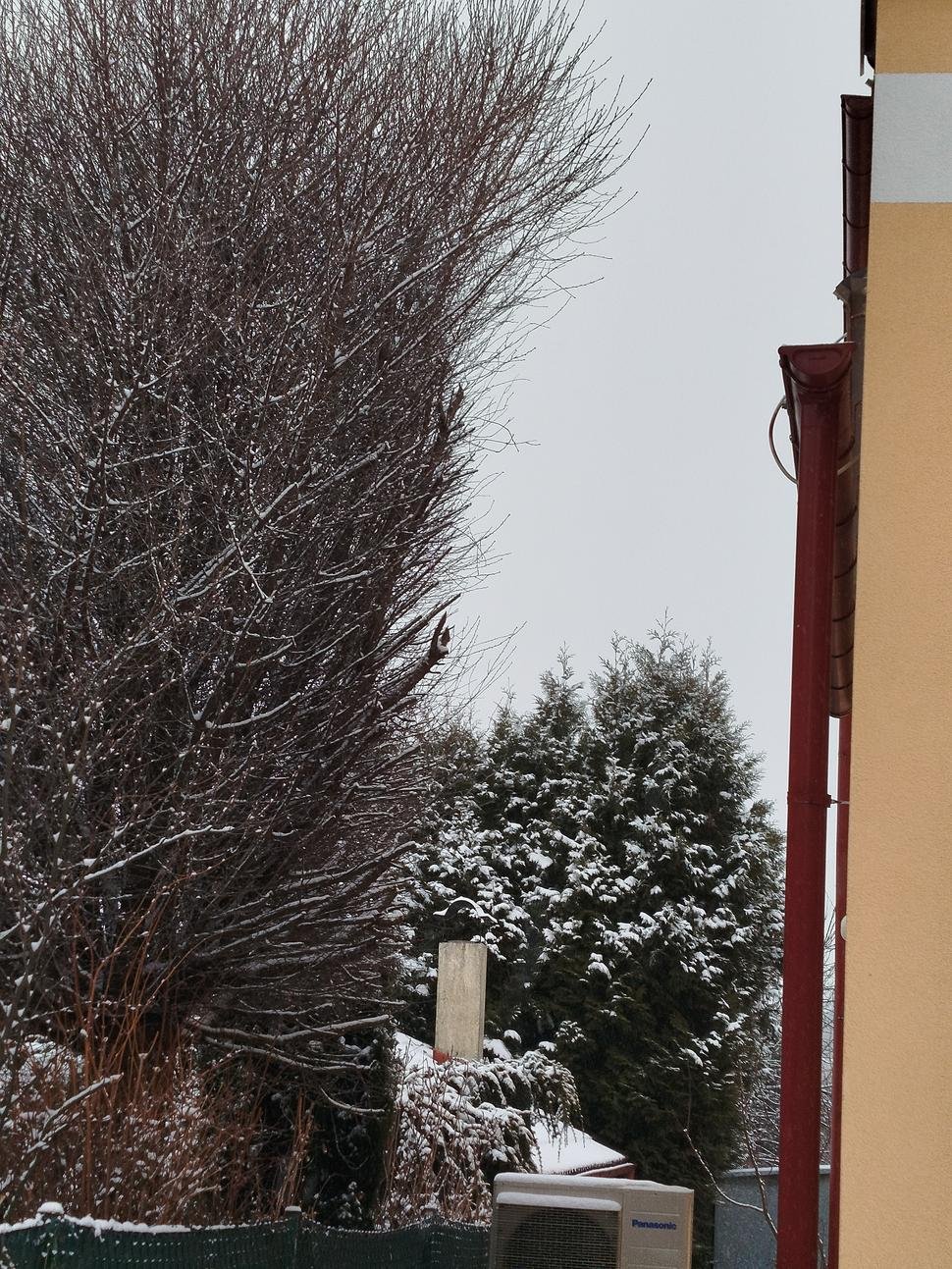 Presah pultovej strechy zhotovili taký krátky, že voda pri pomalšom daždi nepadá do žľabu, ale steká po fasáde.