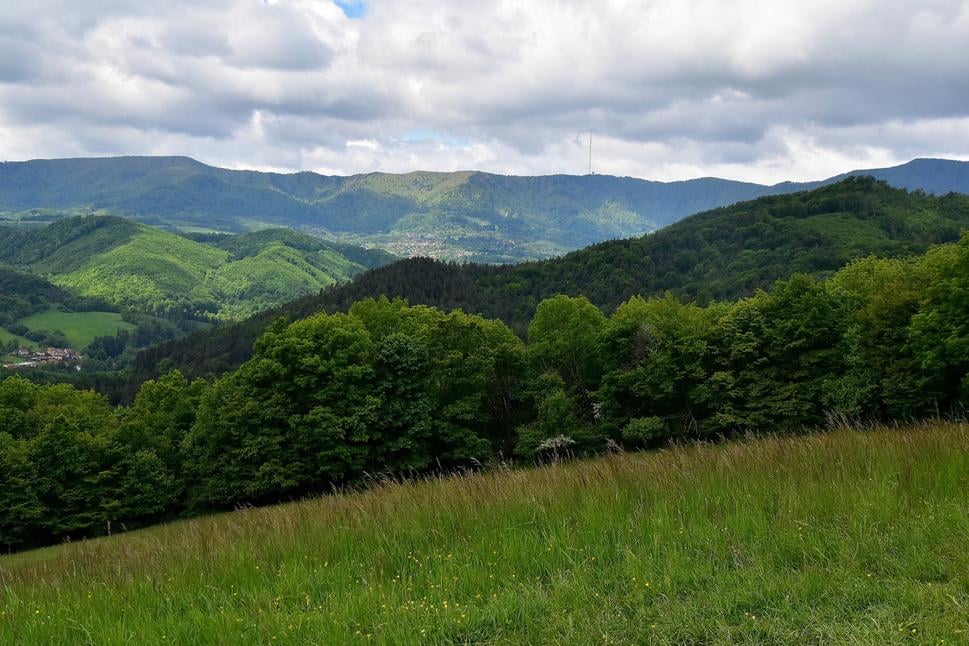 Obrázok blogu