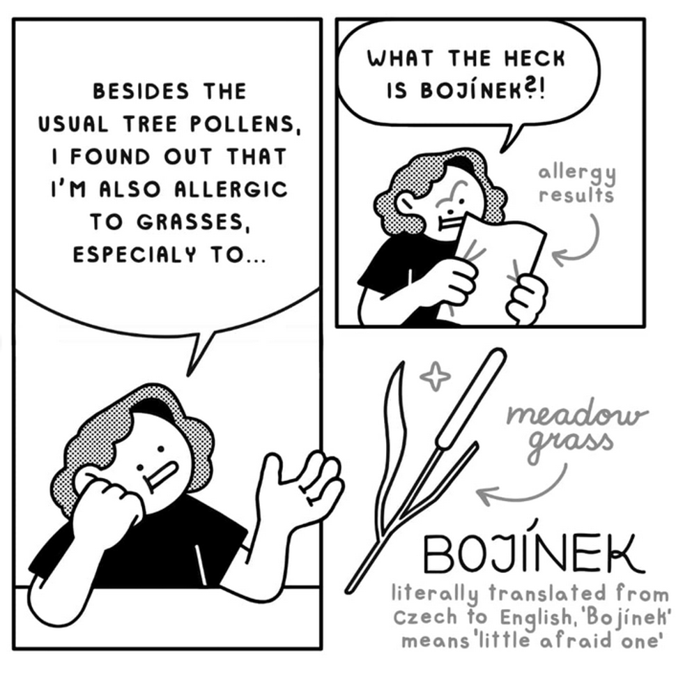 Obrázok blogu