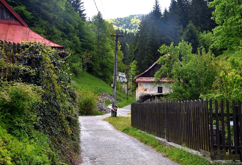 Obrázok blogu