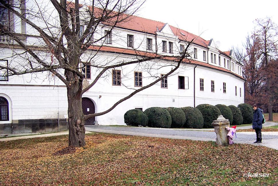 Obrázok blogu