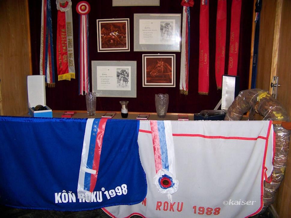 Úspechy a ocenenia z rôznych súťaží doma a v zahraničí