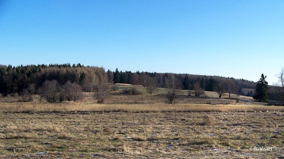 Loksova lúka pod vrcholom Veľkého Inovca