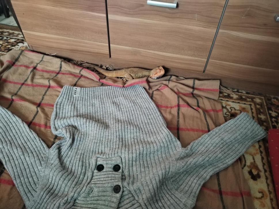 Náš Agi dnes
