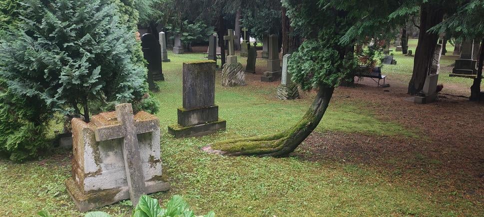 Takýchto ľúbivých scenérii je na cintoríne Kozia brána mnoho