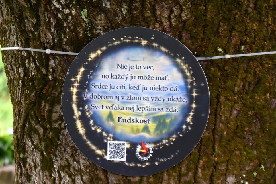 Obrázok blogu