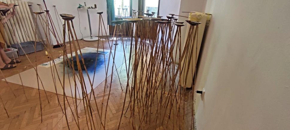 Lucie...ak chcete vedieť ako to bolo napokon nainštalované, príďte do Pistoriho paláca, Štefánikova 25 v Bratislave. Platí to o všetkých inštalíciách