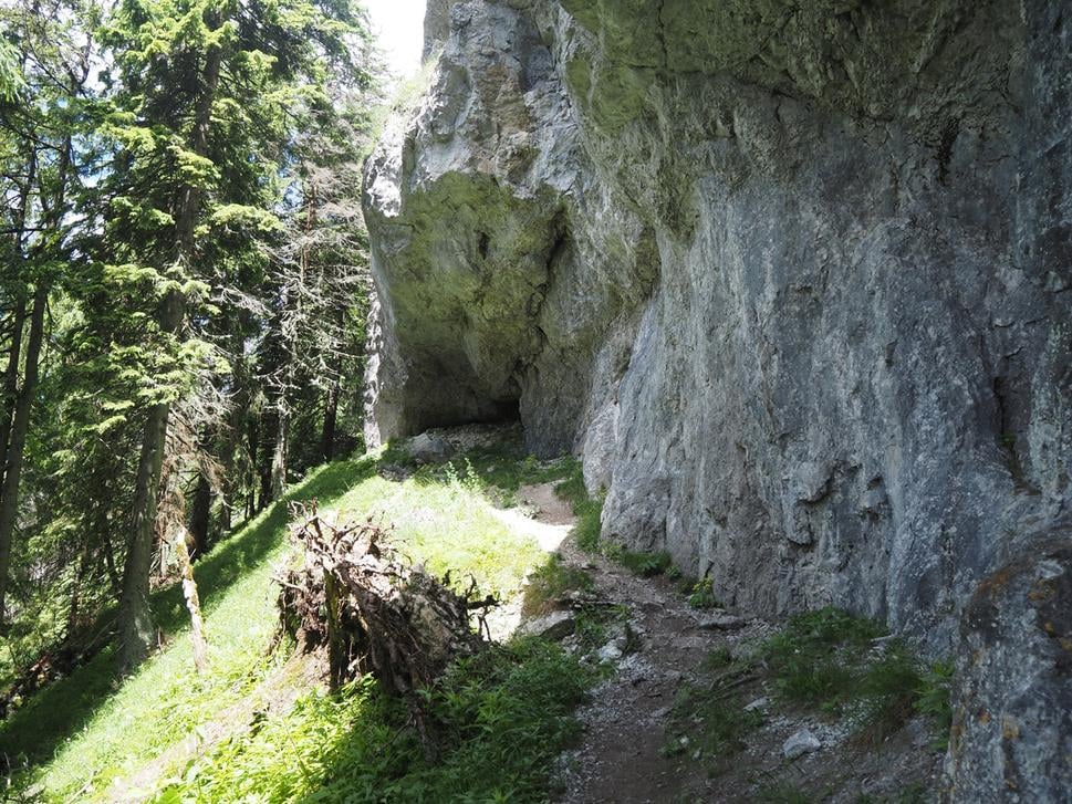 Obrázok blogu