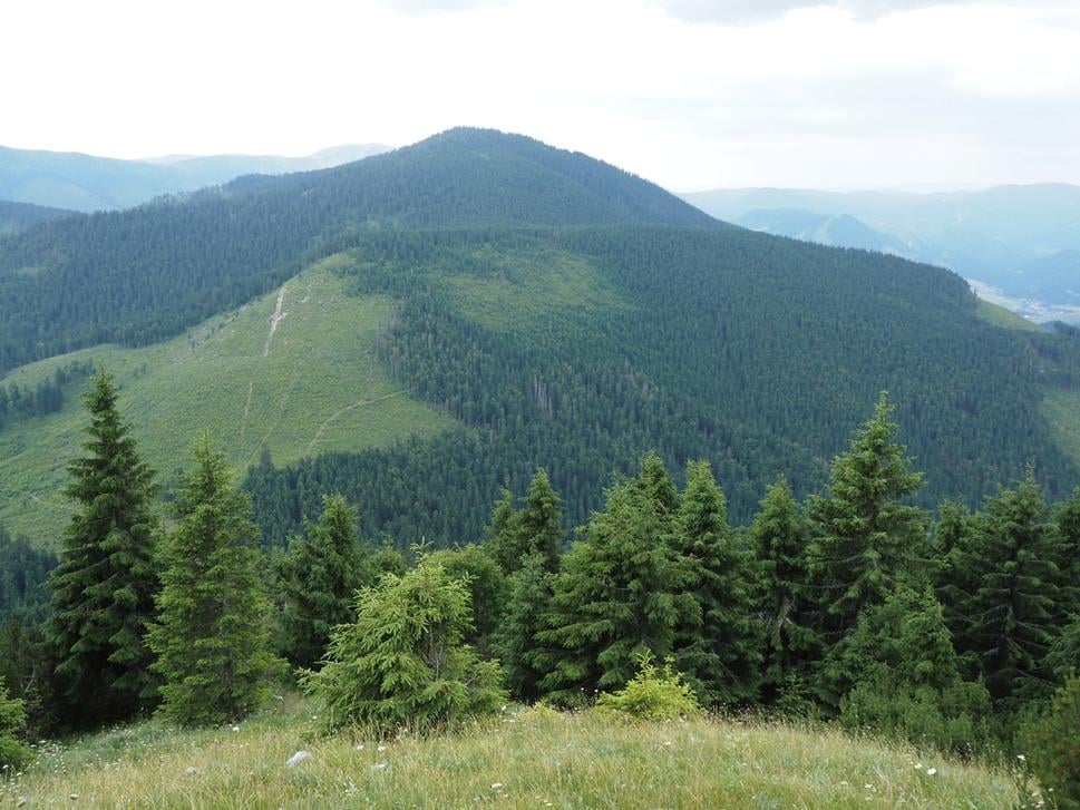 Klin a za ním Tlstá