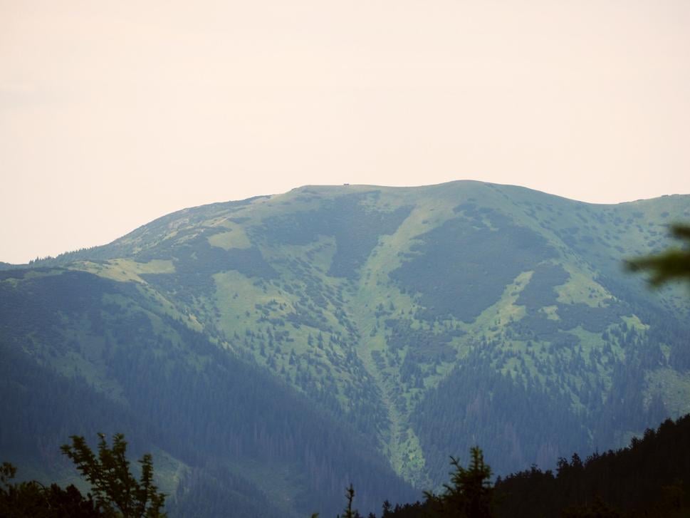 Obrázok blogu
