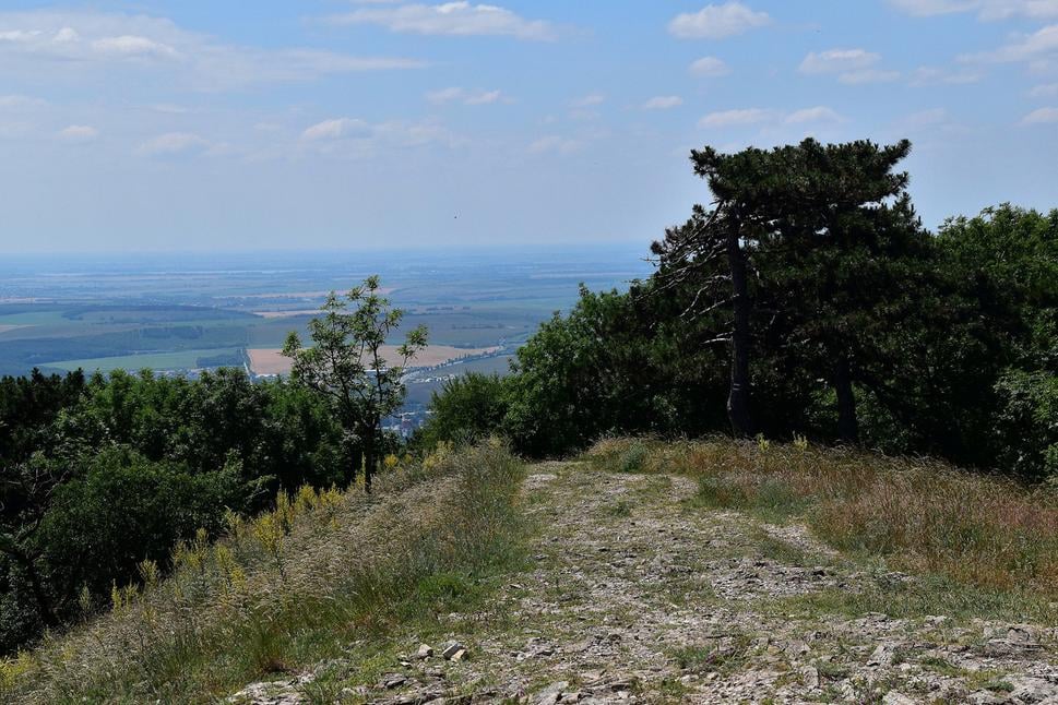 Obrázok blogu