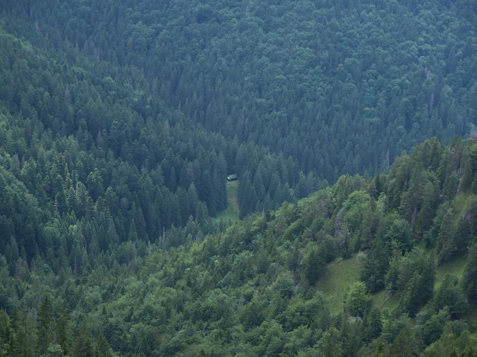 úplne dolu v údolí vidím zrub
