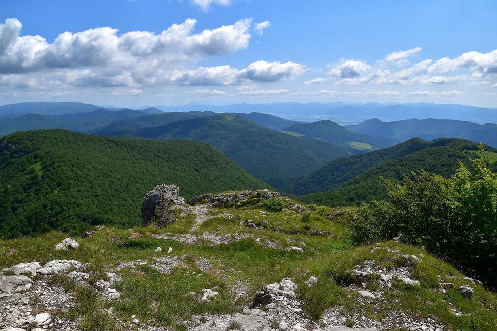 Obrázok blogu