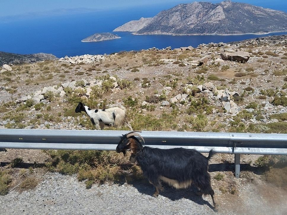Amorgos, oproti ostrov Nikouria