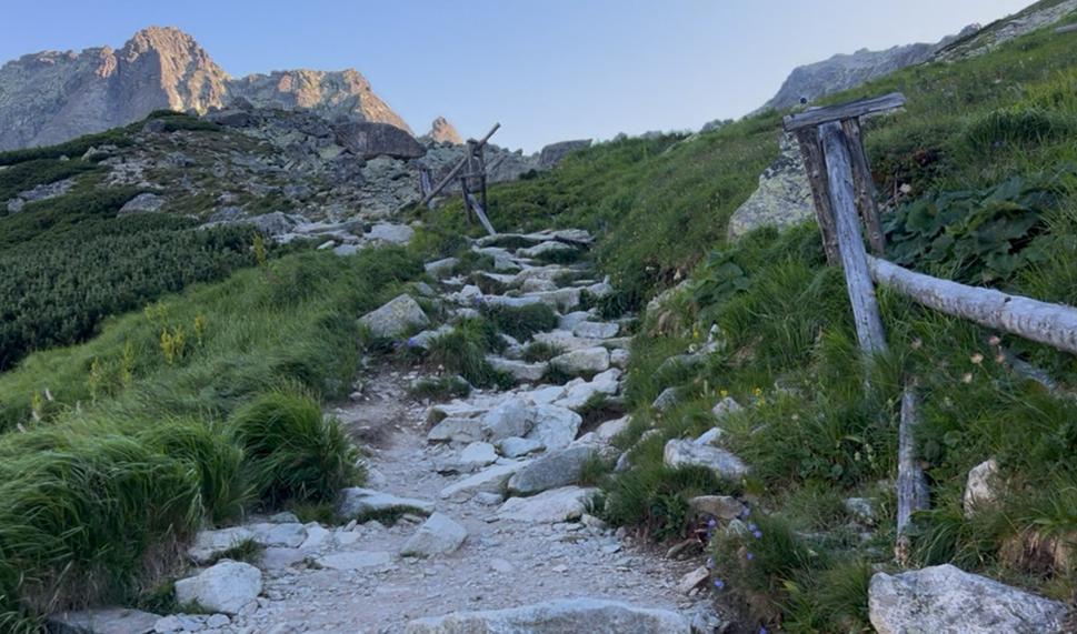 Tesne pod Žabími plesami vidno Voliu vežu (masív naľavo), Žabiu vežu, Žabieho koňa a napravo vidno Rysy.