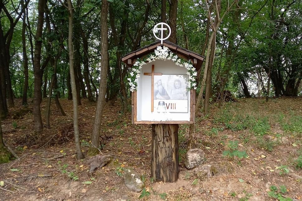 Obrázok blogu