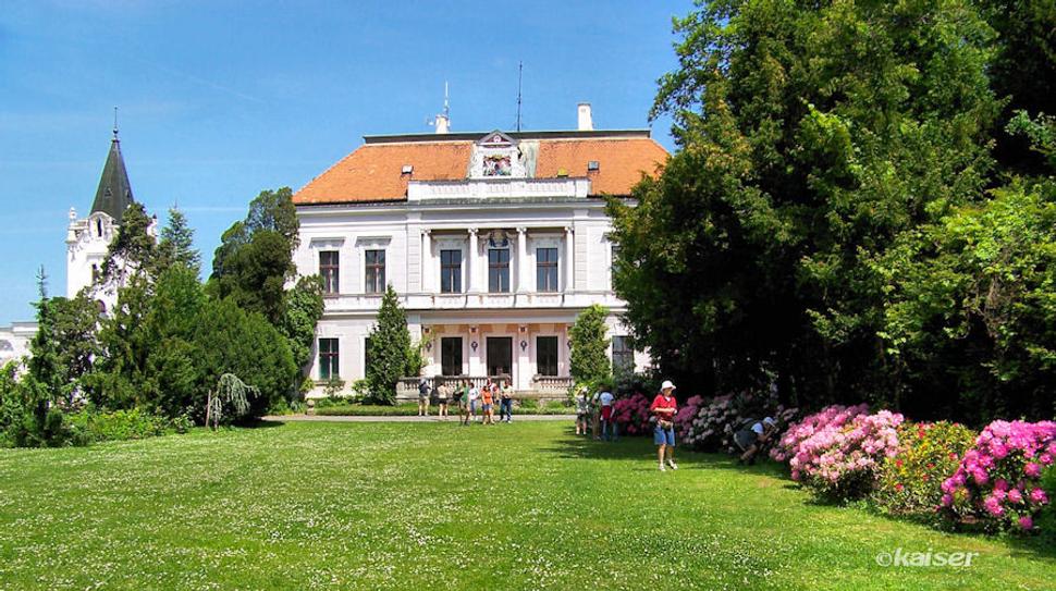 Okolie kaštieľa skrášľuje množstvo rôznych kvetín ku ktorým patria najmä rododendrony, azalky a mahónie