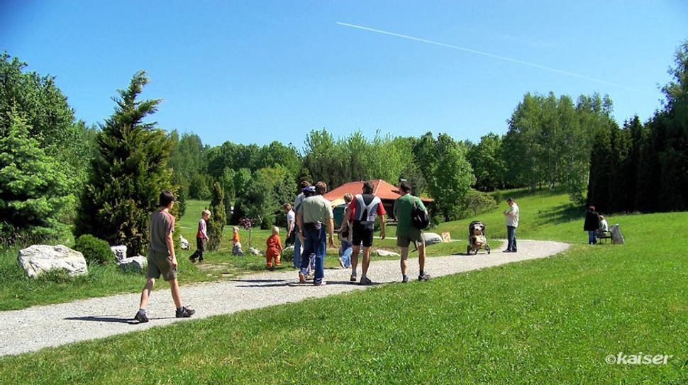 Náučný chodník severoamerickou dendroflórou