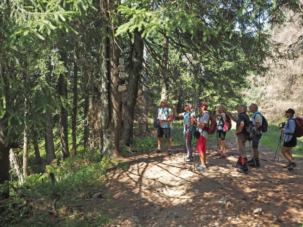 sedlo Prašivé 1220 m n.m.