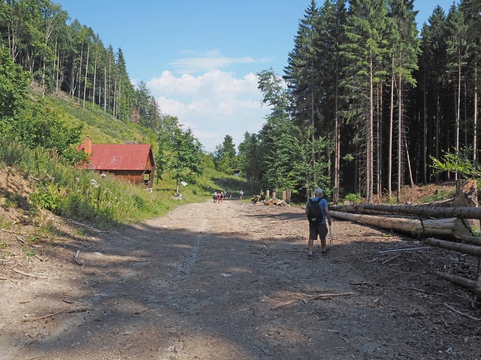 Obrázok blogu