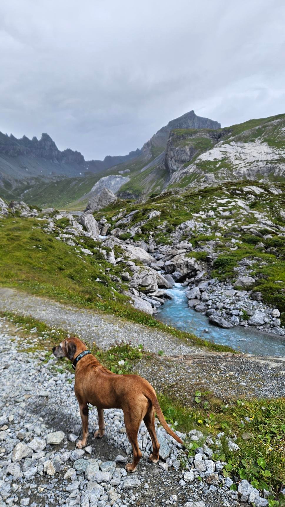 Flims, Segnes