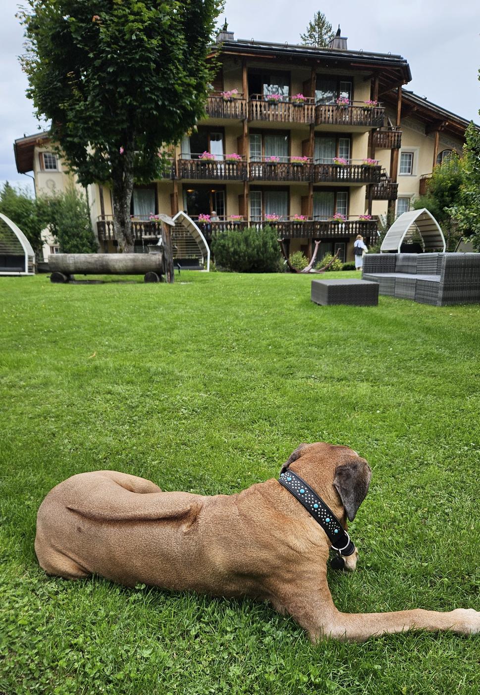 Hotel Adula, Flims