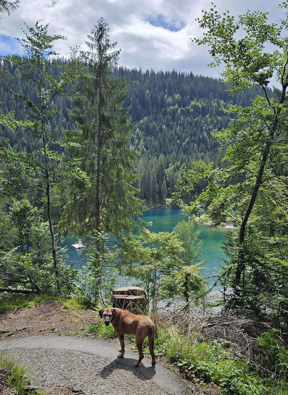 Jazero Cauma, Flims
