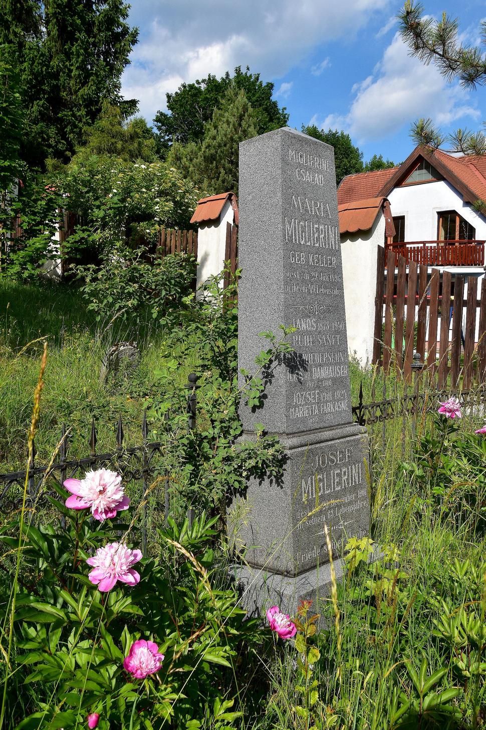 Obrázok blogu