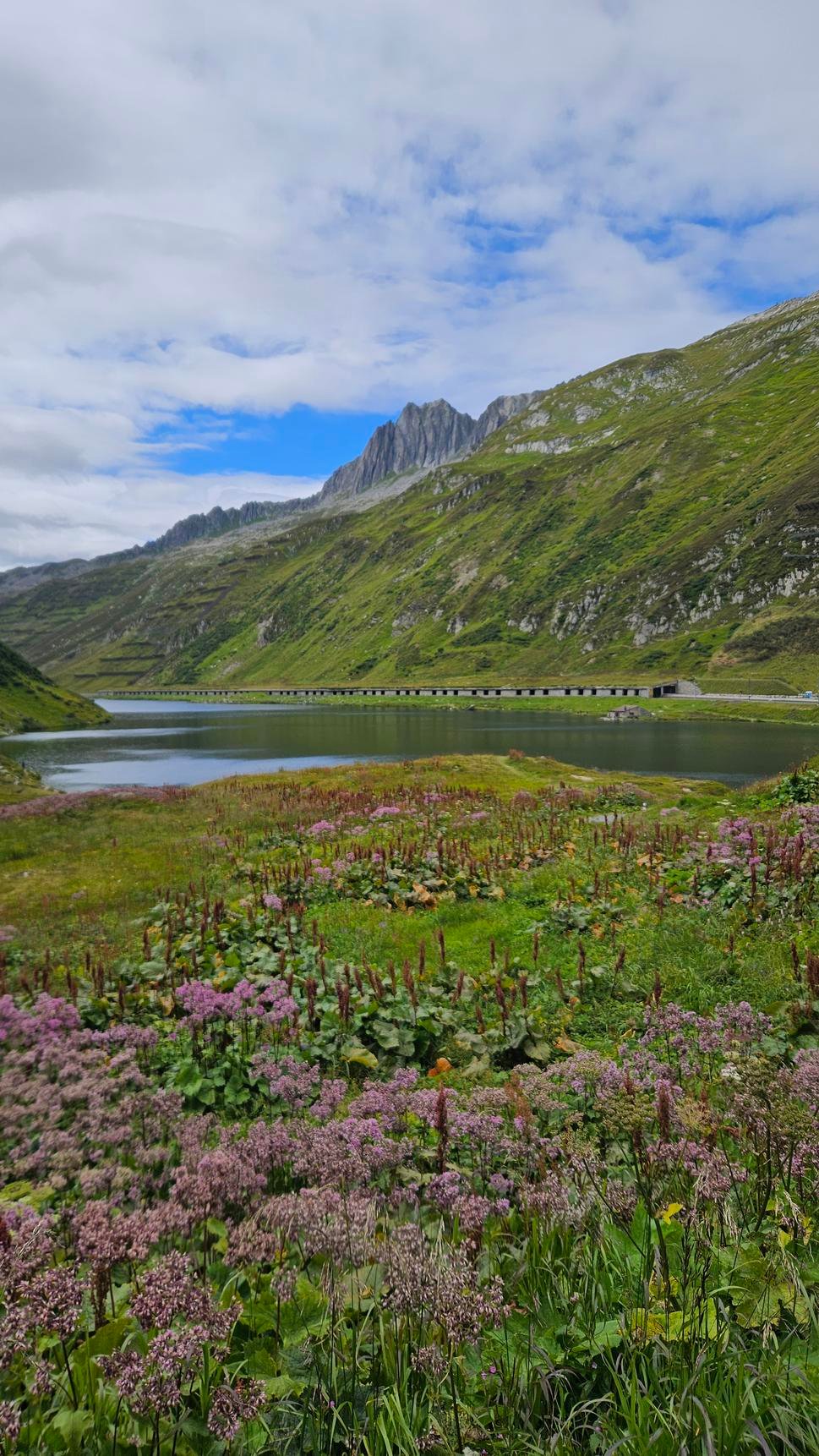 Flims, Segnes