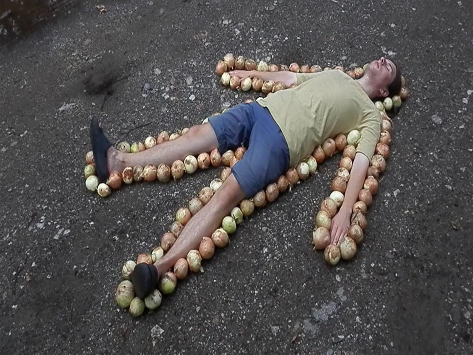 Letokruhy cibule, 2025