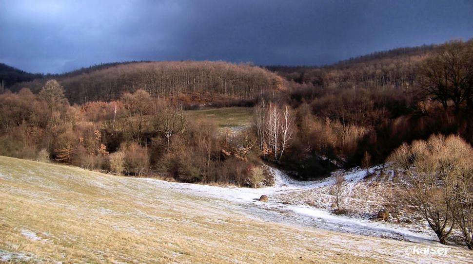 Obrázok blogu