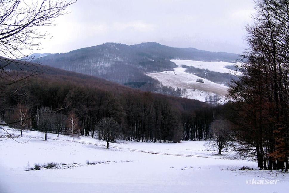 Pohľad na Sokolec a lúky nad Debnárovým štálom