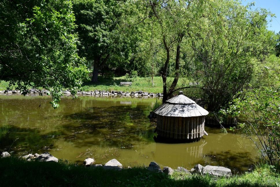 Obrázok blogu